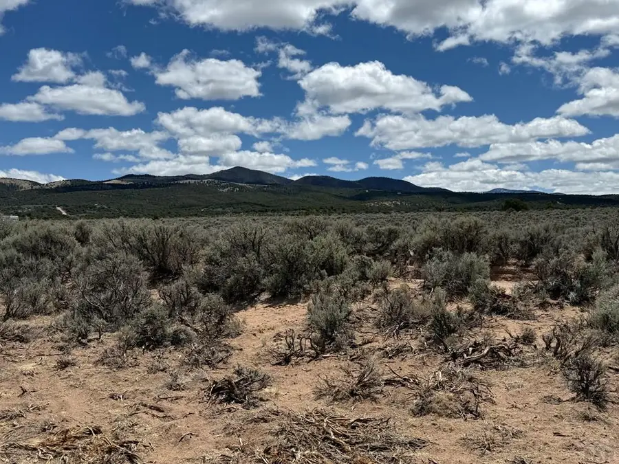 TBD Sangre De Cristo Ranches, Fort Garland, CO 81133 - #3
