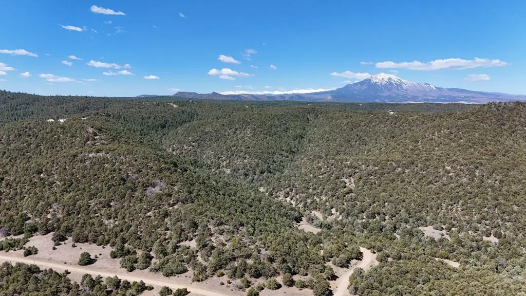 Lot 127 County Rd. 312.1, Aguilar, CO 81020 - #1
