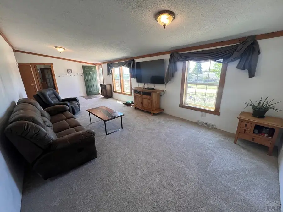 7937 Mount Baldy Dr, Rye, CO 81069 - #2