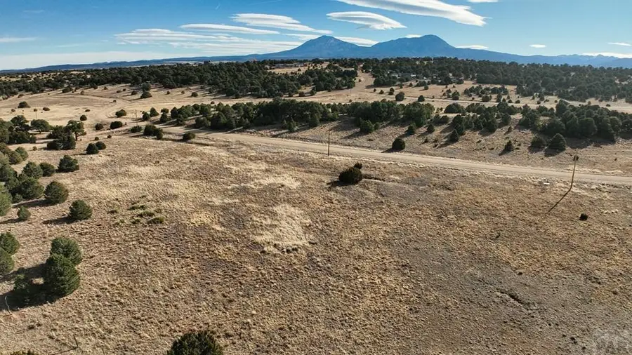37 Navajo Ranch Resort, Walsenburg, CO 81089 - #3