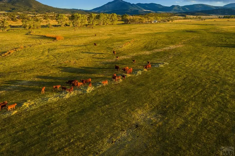 TBD County Rd 554, Gardner, CO 81040 - #3