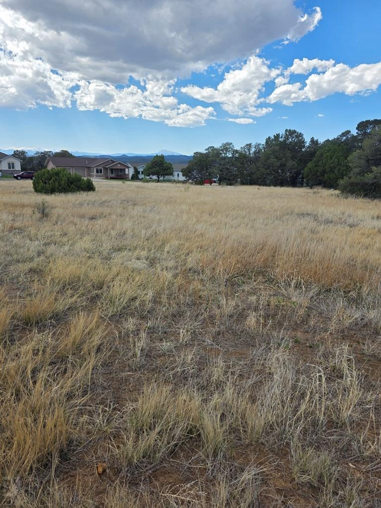 TBD Peak St, Trinidad, CO 81082 - #2
