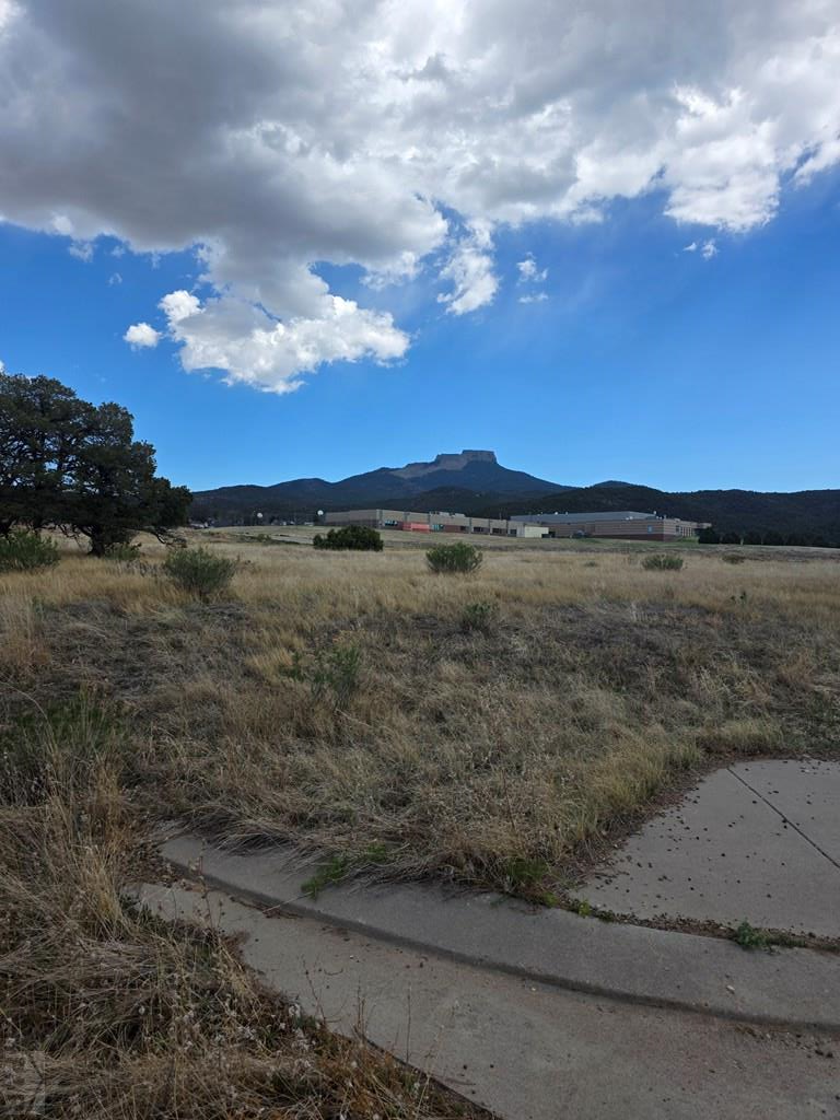 TBD Peak St, Trinidad, CO 81082 - #3