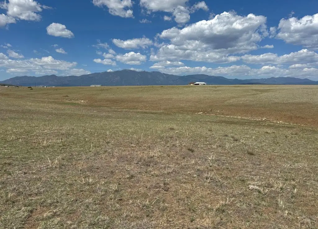 TBD Lot 13A Pickney Rd, Rye, CO 81069 - #1