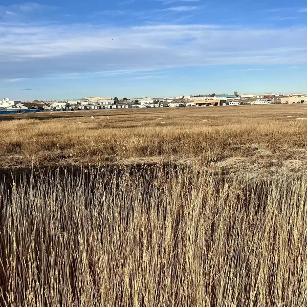659 E Clarion Dr, Pueblo West, CO 81007