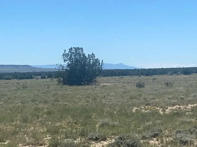 000 Longhorn Ranch, Model, CO 81059 - #1