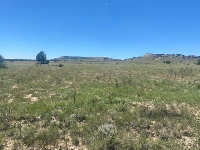 000 Longhorn Ranch, Model, CO 81059 - #3