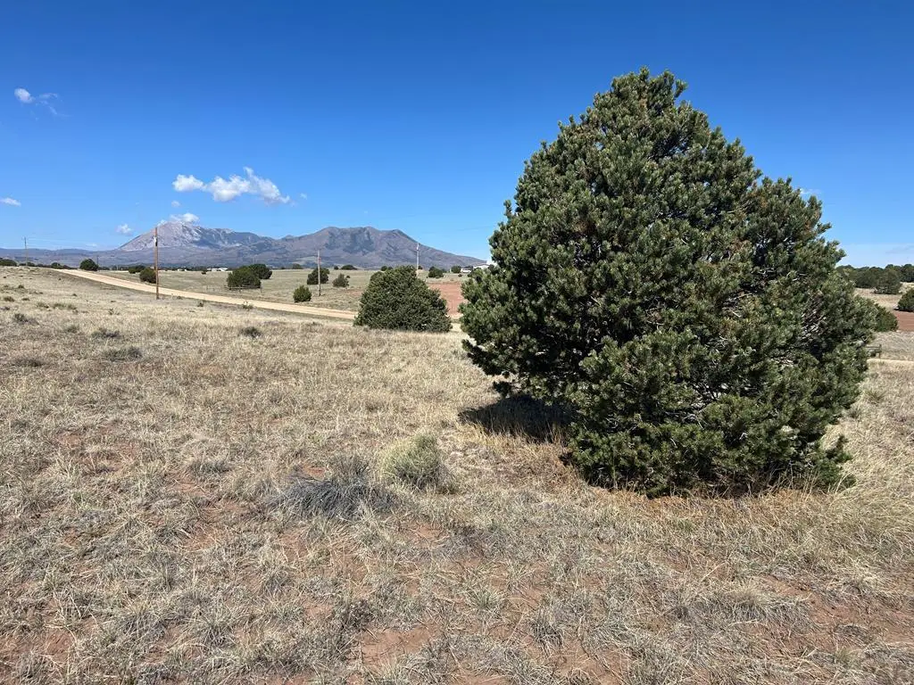 Lot 94 Navajo Ranch Resort, Walsenburg, CO 81089 - #1