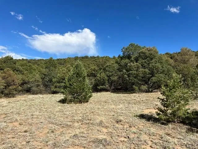 96 River Ridge Rd, Walsenburg, CO 81089 - #2