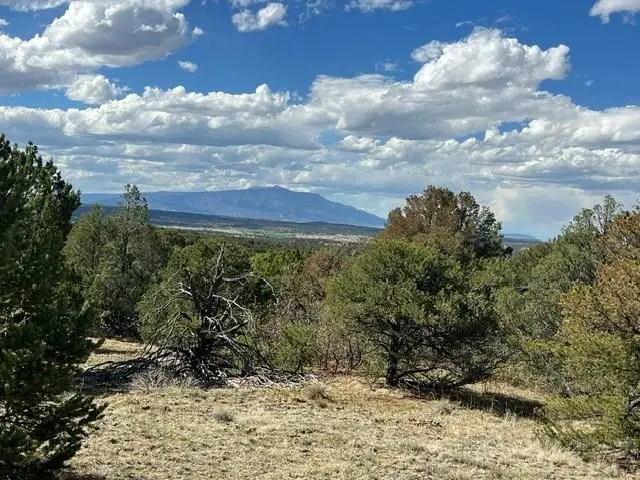 96 River Ridge Rd, Walsenburg, CO 81089 - #3