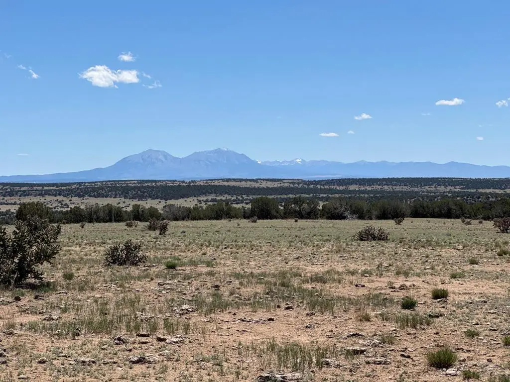 169 Tyrone Hills, Walsenburg, CO 81089 - #1