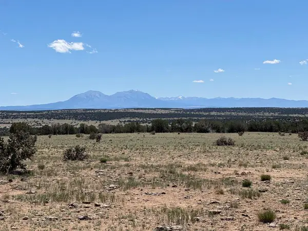 169 Tyrone Hills, Walsenburg, CO 81089