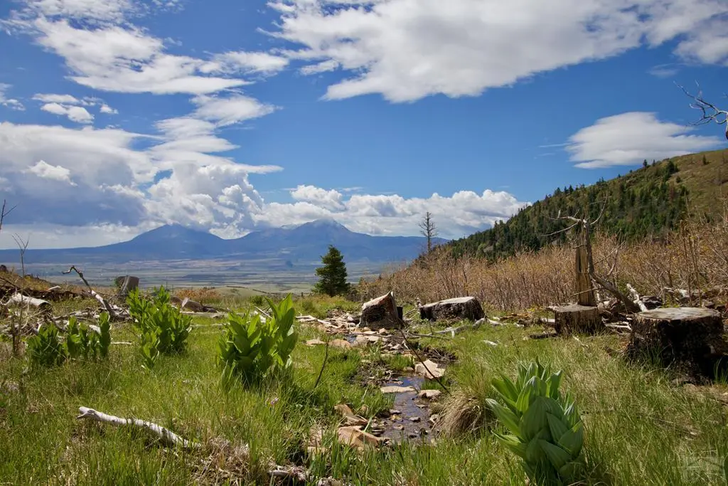 TBD Tres Valles West #36, La Veta, CO 81055 - #1
