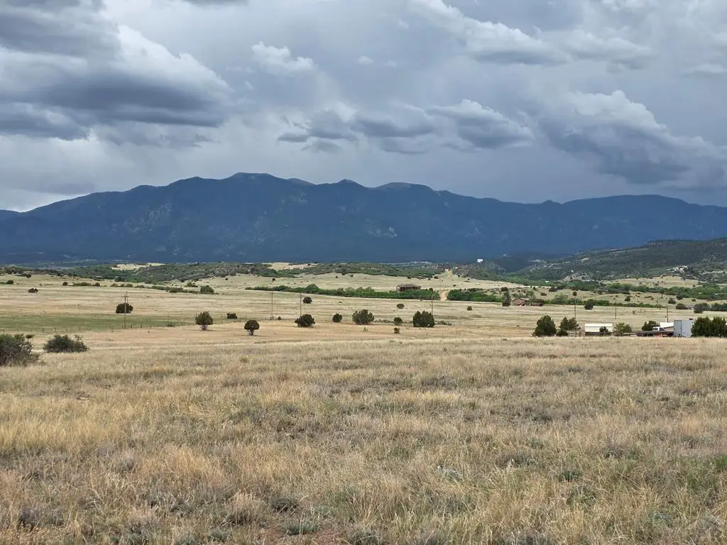 Lot 221 Grant Place, Colorado City, CO 81019 - #1