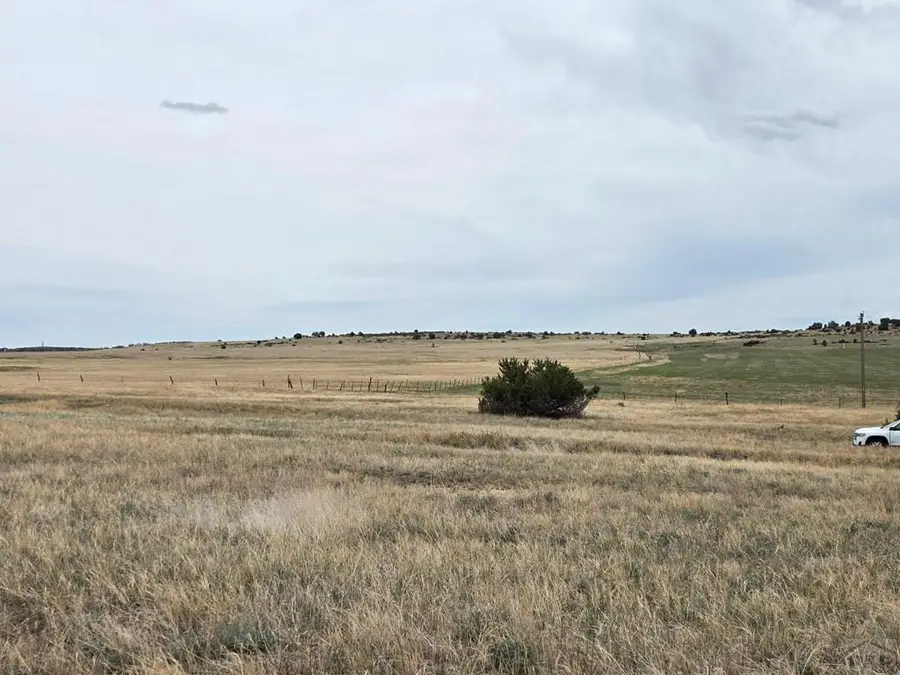 Lot 221 Grant Place, Colorado City, CO 81019 - #3