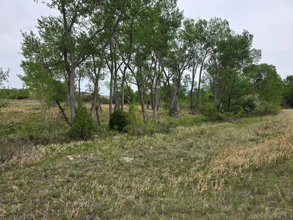 Lot 148 Leland Heights, Colorado City, CO 81019 - #1