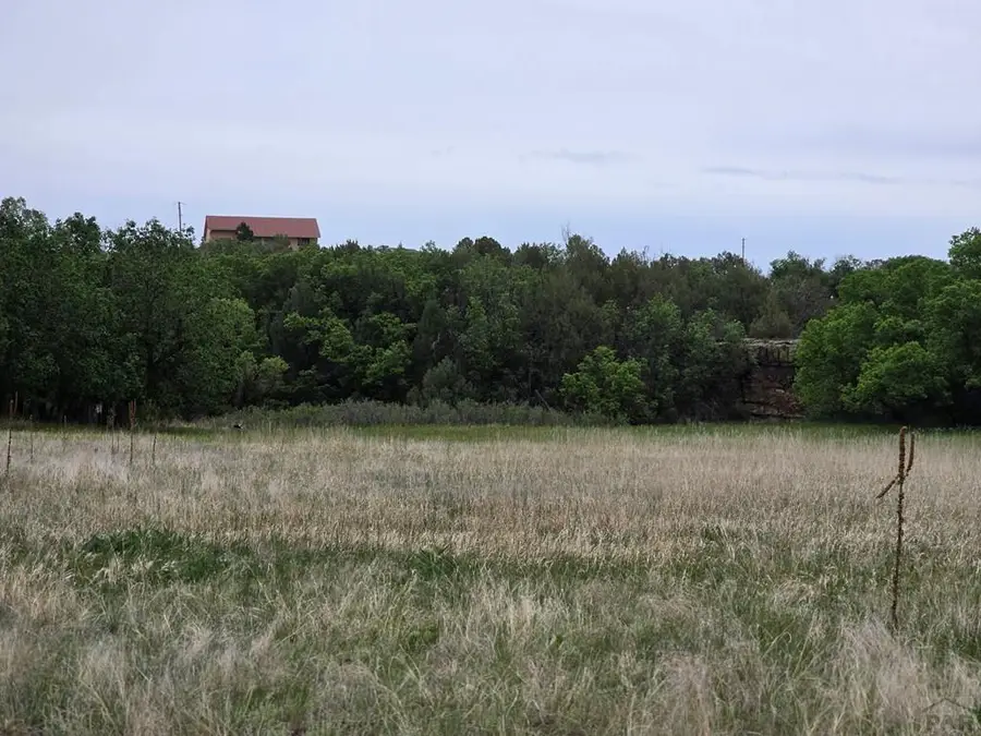 Lot 148 Leland Heights, Colorado City, CO 81019 - #2