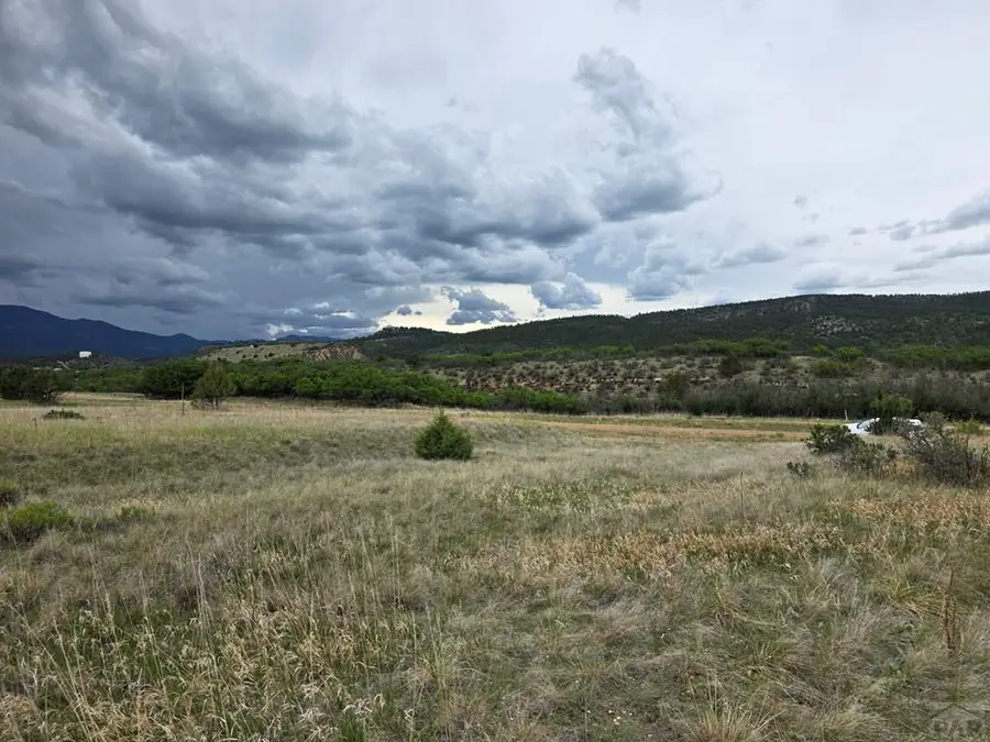 Lot 313 Bird Pl, Colorado City, CO 81019 - #3