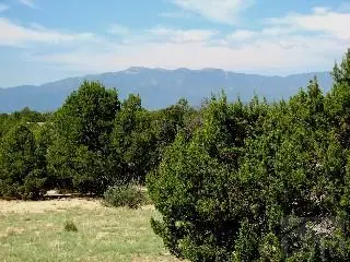 Par 78 Willow Spring Dr, Pueblo, CO 81004 - #1
