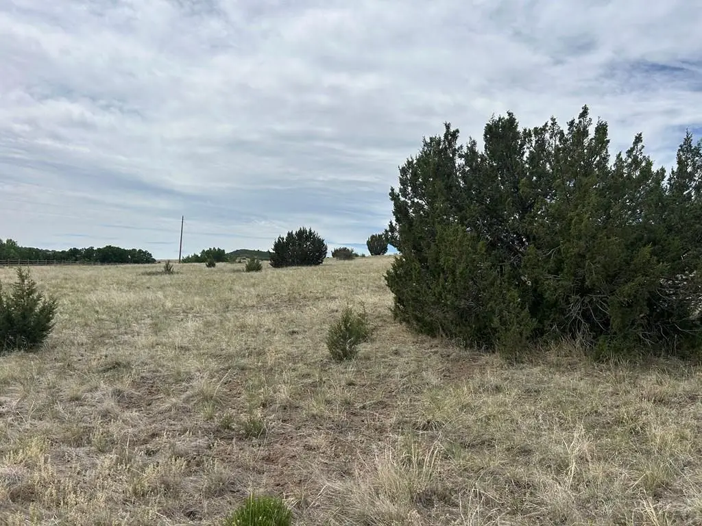 Lot 201 Royse St, Colorado City, CO 81019 - #1