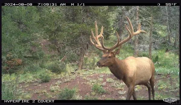TBD Spanish Peaks Dr, Aguilar, CO 81020