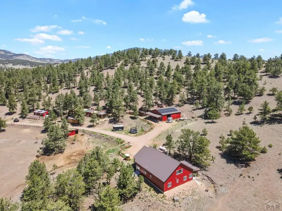 150 Julia Rd, Guffey, CO 80820 - #3