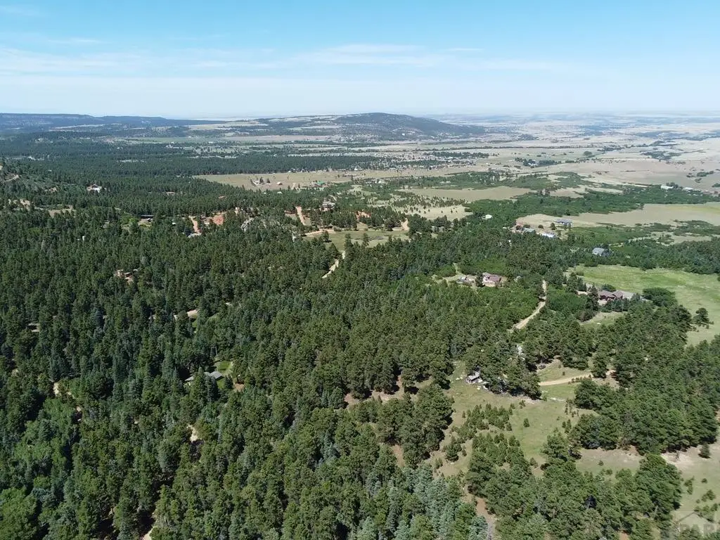 10940 Bartlett Trail, Rye, CO 81069 - #1
