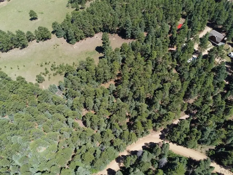 10940 Bartlett Trail, Rye, CO 81069 - #3