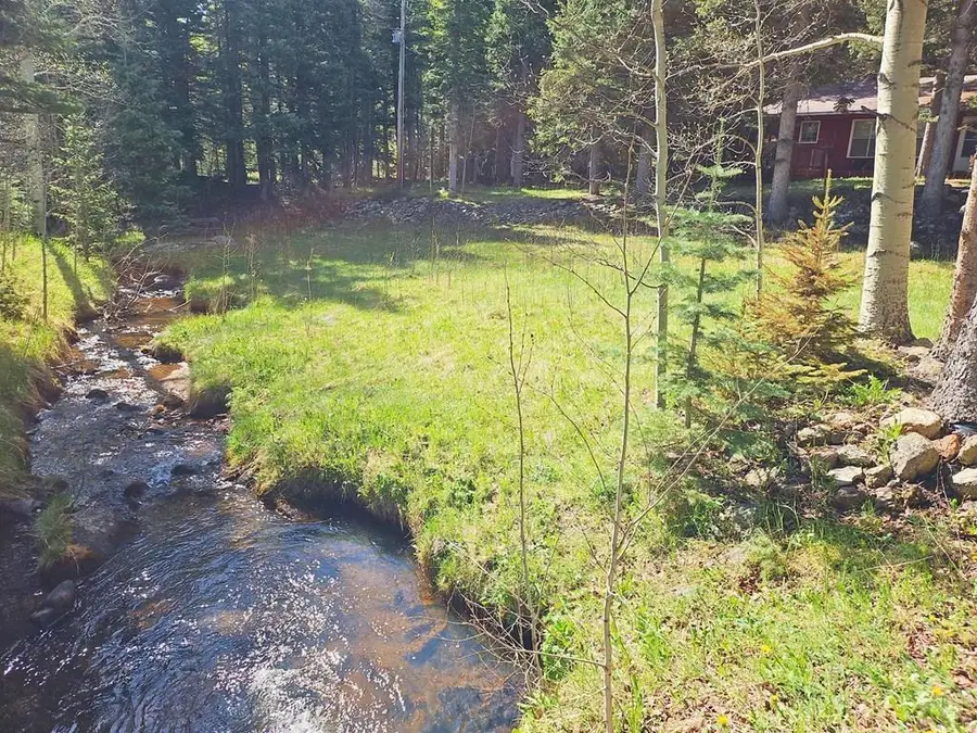 114 Silvercliffe, Rye, CO 81069 - #3