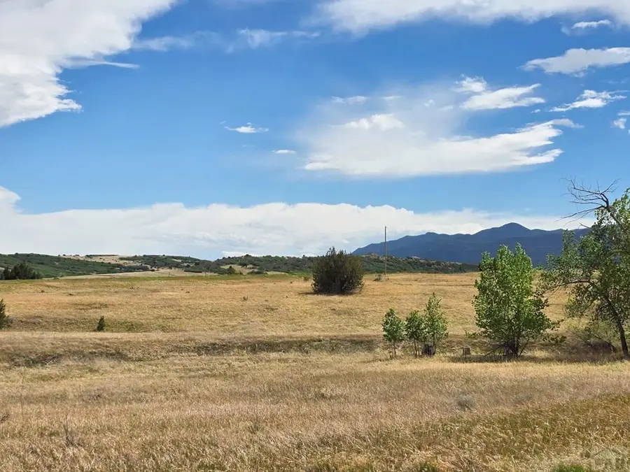 Lot 327 Sherwood Ave, Colorado City, CO 81019 - #3