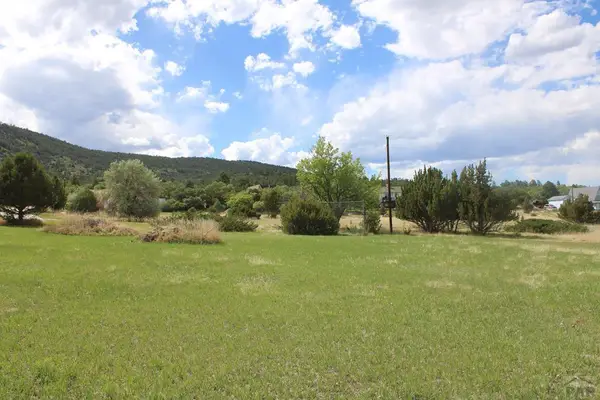 Lot 209 White Antelope Drive, Colorado City, CO 81019