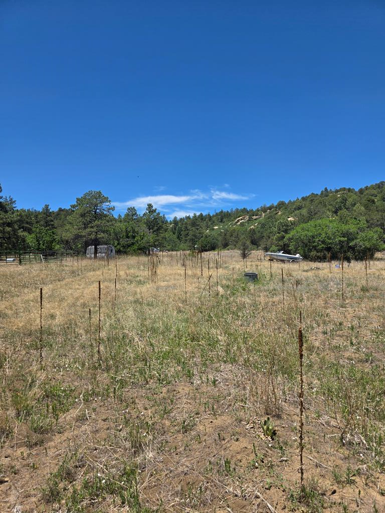 17775 County Rd 51, Boncarbo, CO 81024 - #1