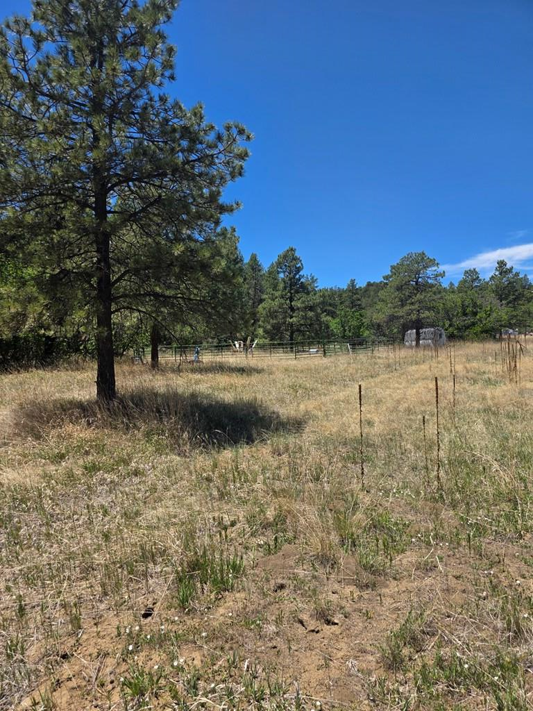 17775 County Rd 51, Boncarbo, CO 81024 - #3