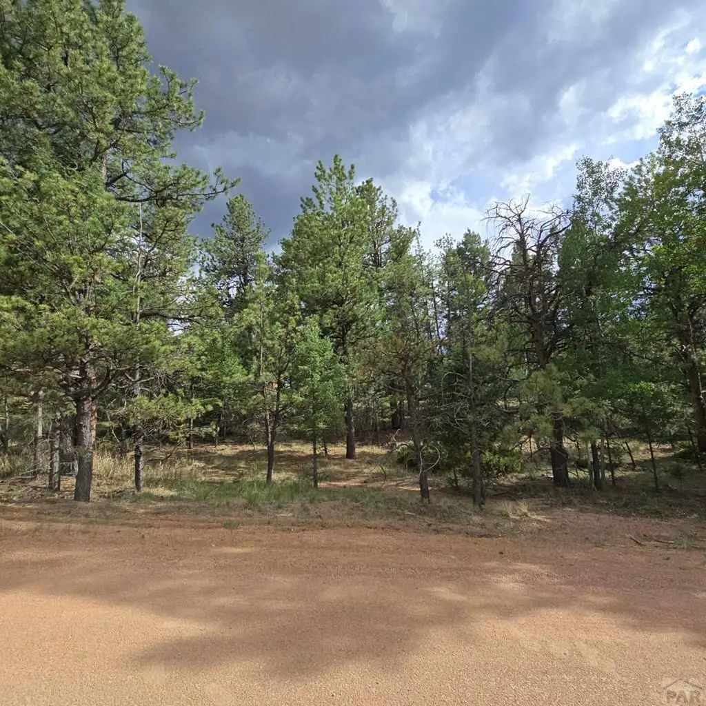 182 Wasatch Ln, Florissant, CO 80816 - #1