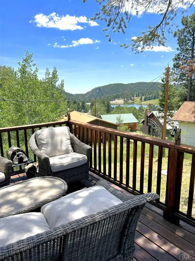 70 Golfview Dr, Rye, CO 81069 - #2
