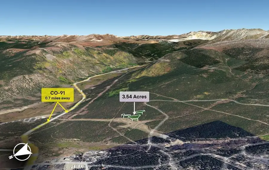 11238 Abc & Comet, Leadville, CO 80461 - #3