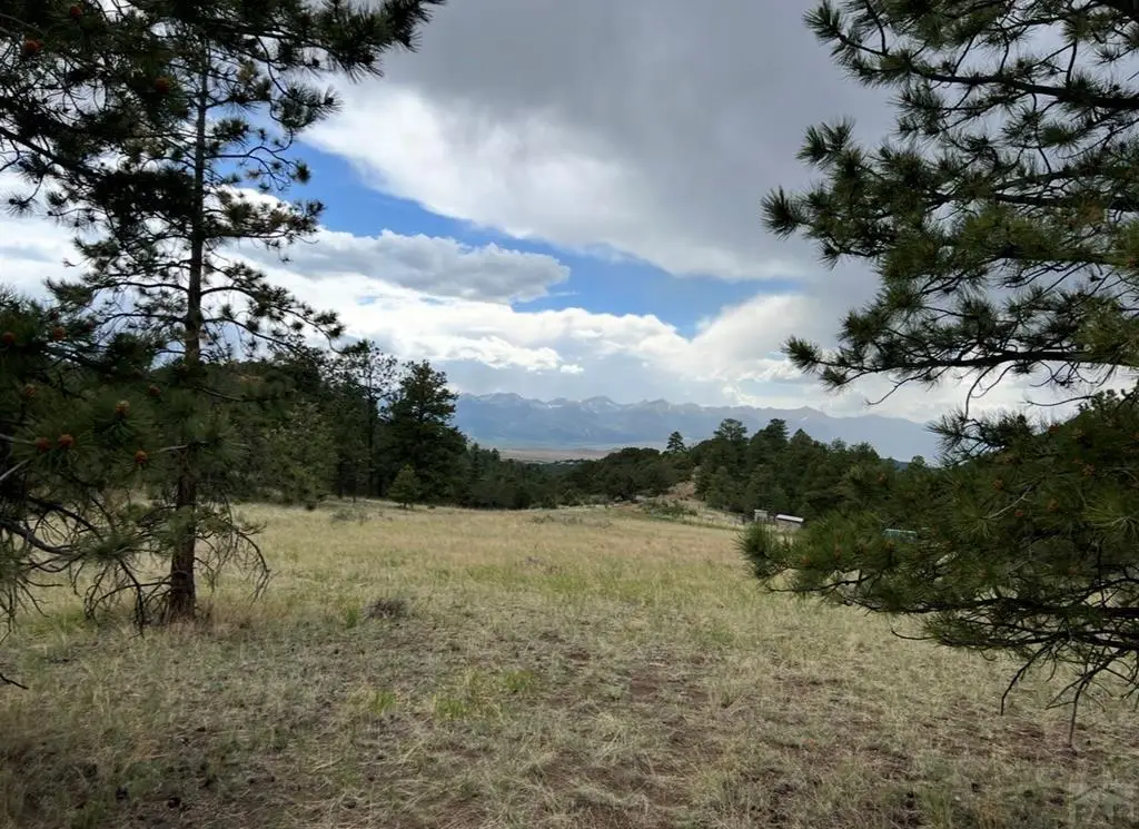 Lot 52 Tamarac Rd, Silver Cliff, CO 81252 - #1