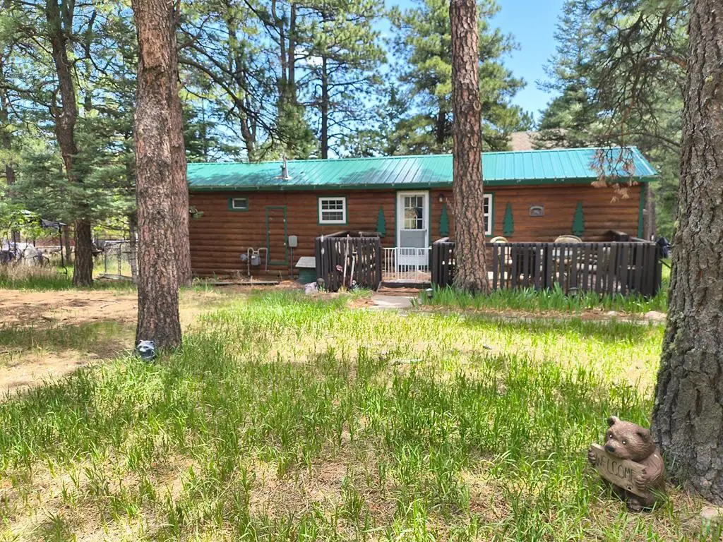 10594 Charles Lane, Rye, CO 81069 - #1