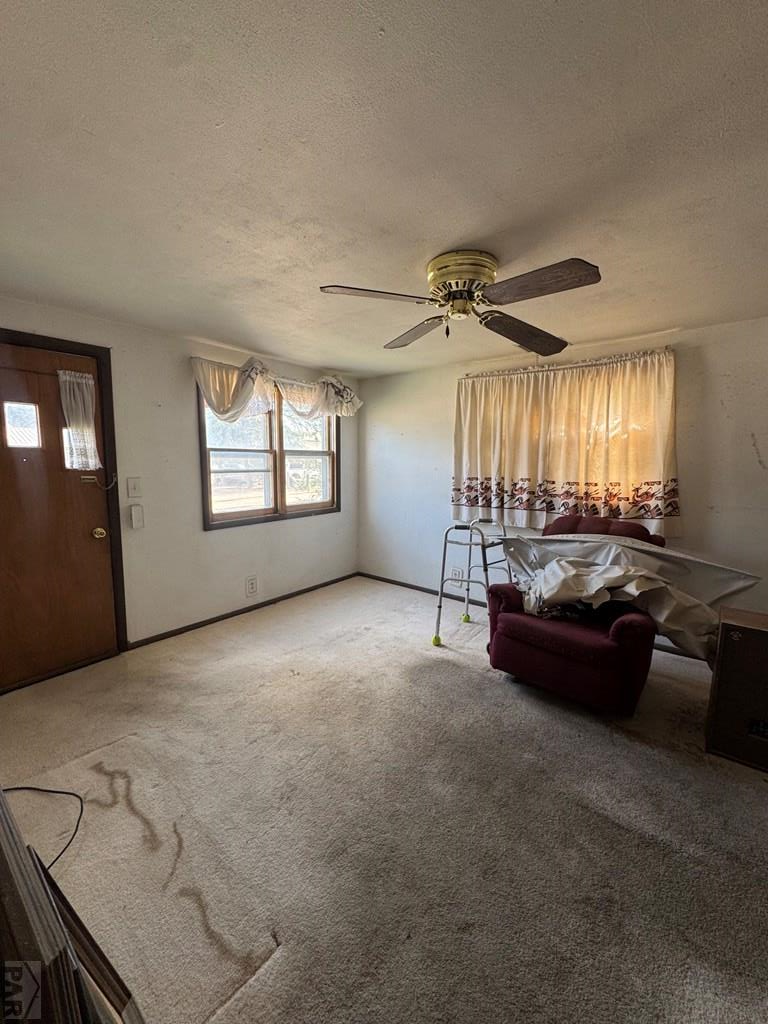 409 W Swink, Fowler, CO 81039 - #2