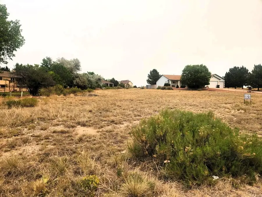 327 W Blue Jay Place, Pueblo West, CO 81007 - #3