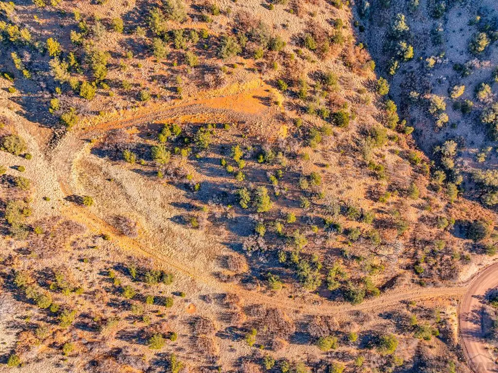 1089 Chris Crossover, Canon City, CO 81212 - #1