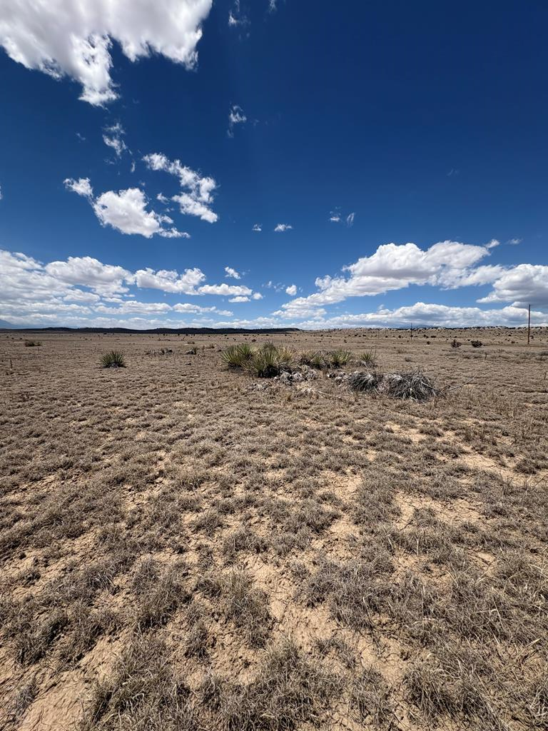 222 & 224 Turkey Ridge Ranch, Walsenburg, CO 81089 - #1