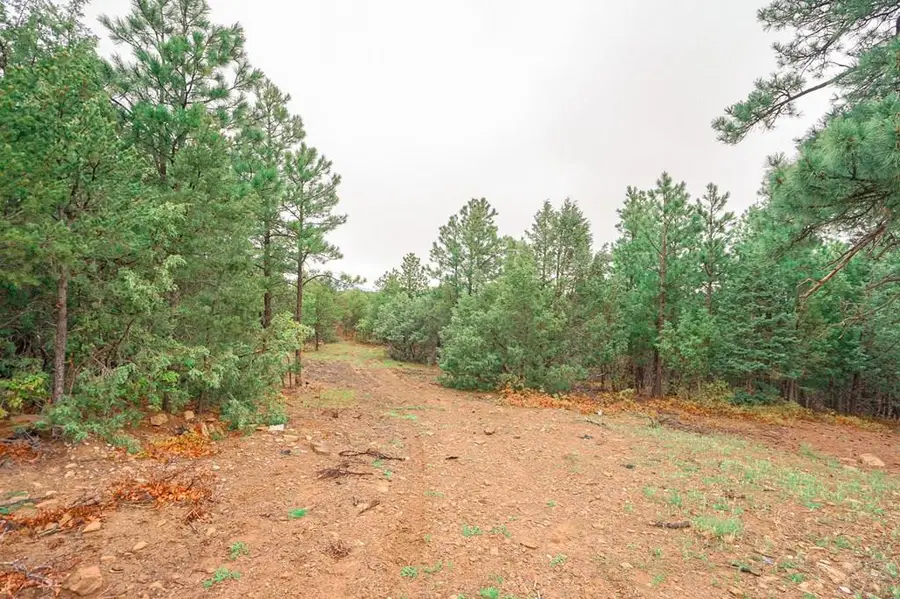 538 Rugby Mines Rd, Walsenburg, CO 81089 - #2