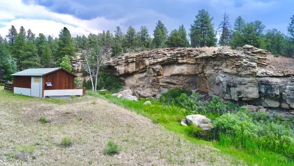 14102 County Rd 41.7, Weston, CO 81091