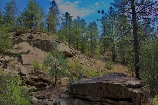 TBD Pine Lane, Weston, CO 81091