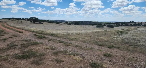 TBD Patsy Cir, Colorado City, CO 81019