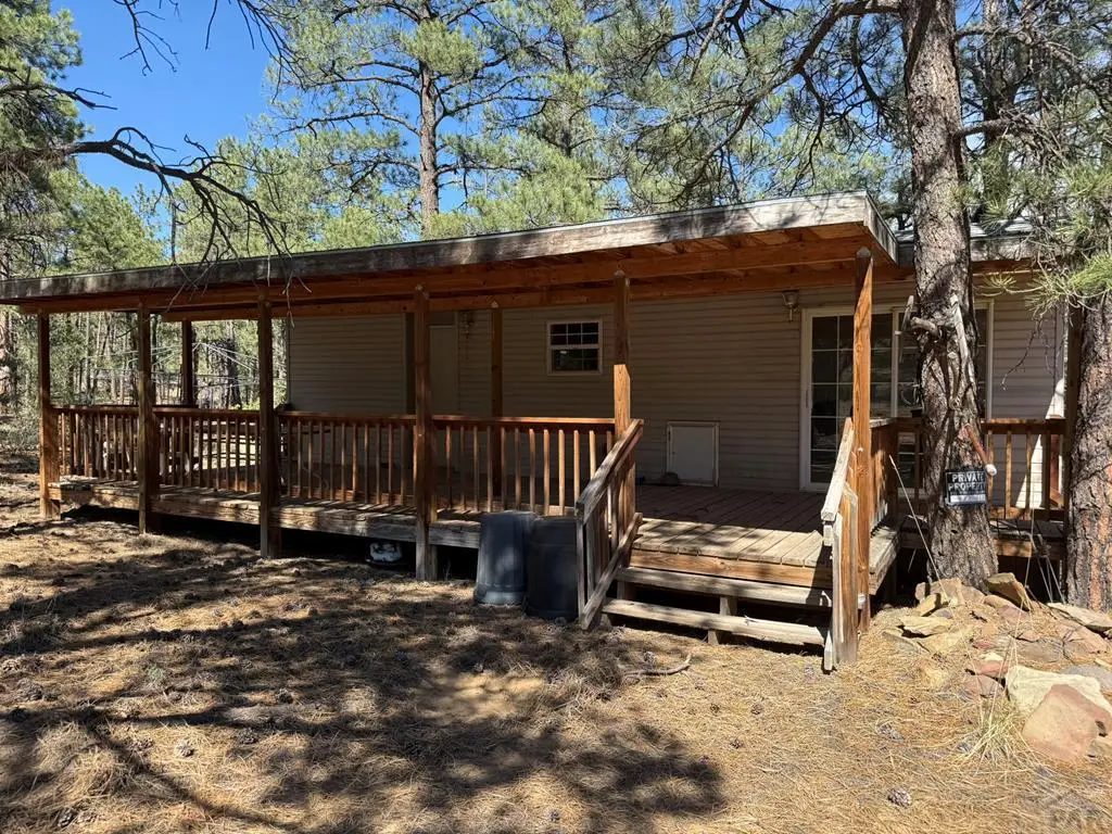 19963 Deer Path Ln, Weston, CO 81091 - #1