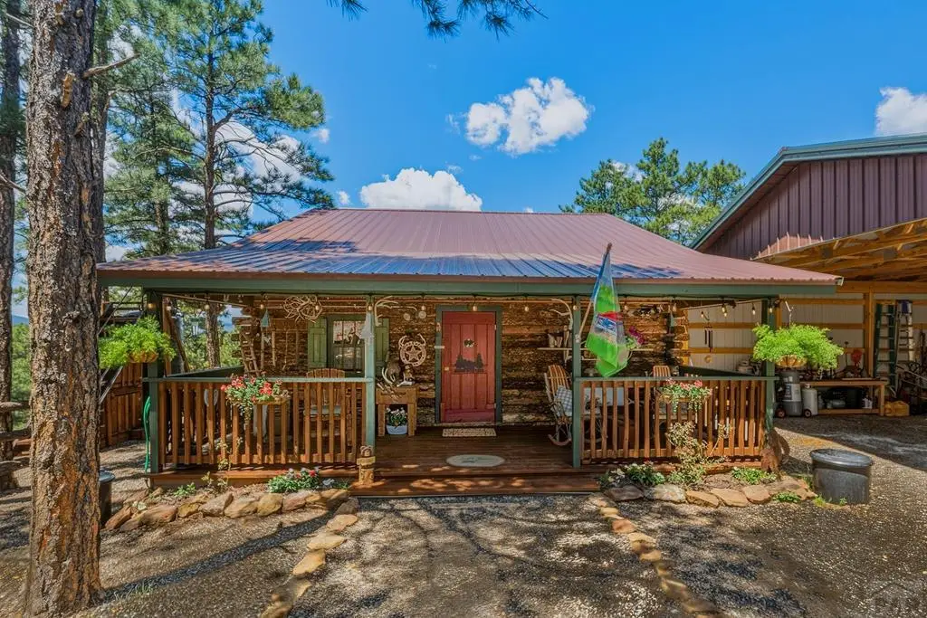 23251 Elk Tr, Aguilar, CO 81020 - #1