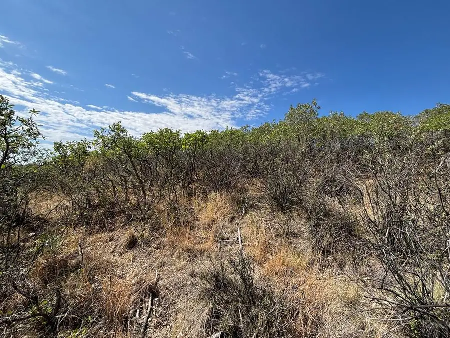 Lot 292 Little Raven Dr, Colorado City, CO 81019 - #3