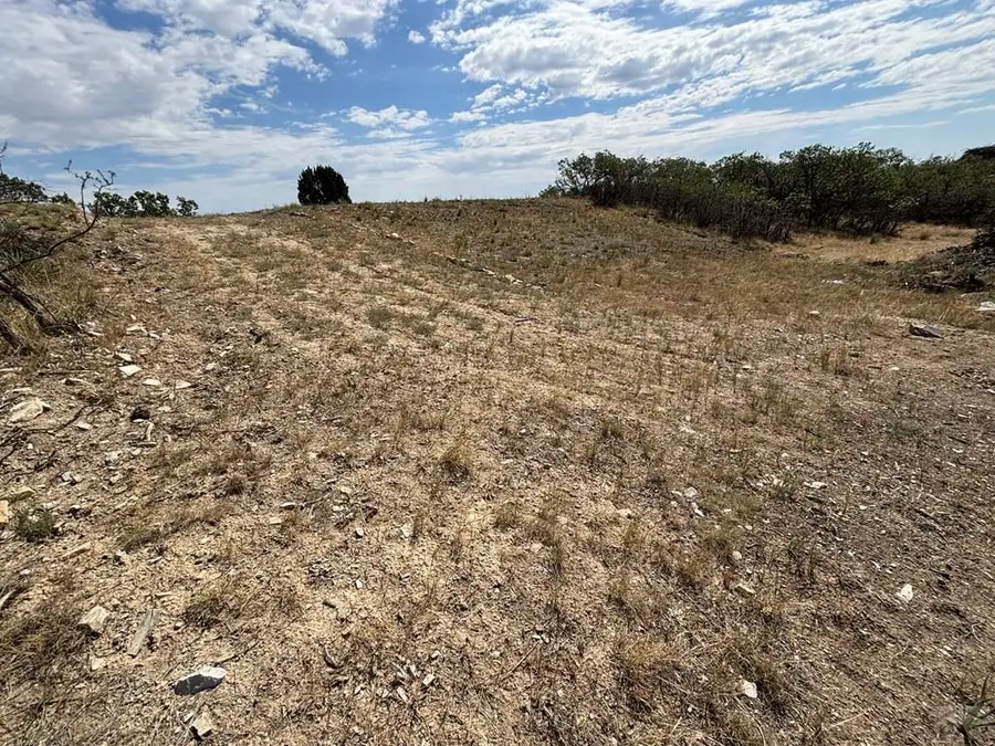 Lot 297 Little Raven Dr, Colorado City, CO 81019 - #3
